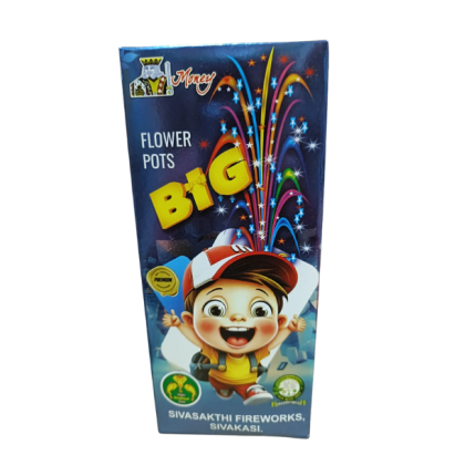 Flower Pots Big (1 Box)